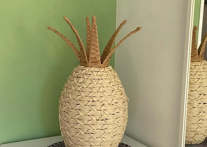 Atlantic Garden Andrew Pool Air Conditioning Prázdninový dům *