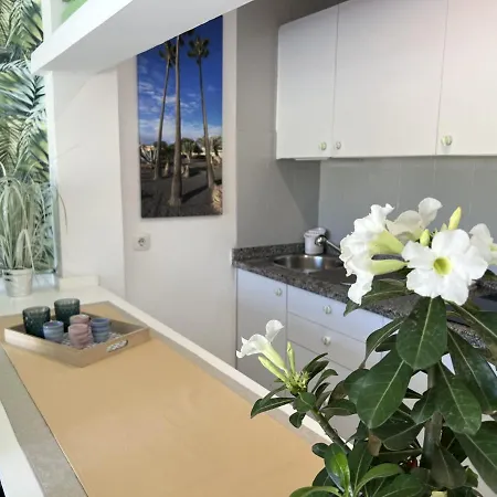 Atlantic Garden Andrew Pool Air Conditioning בית נופש *